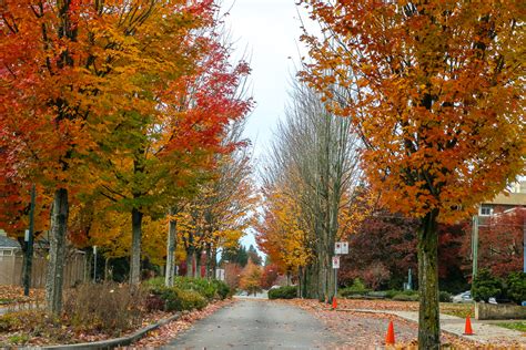 The Best Places To Find Fall Colors In Vancouver Roads And Destinations