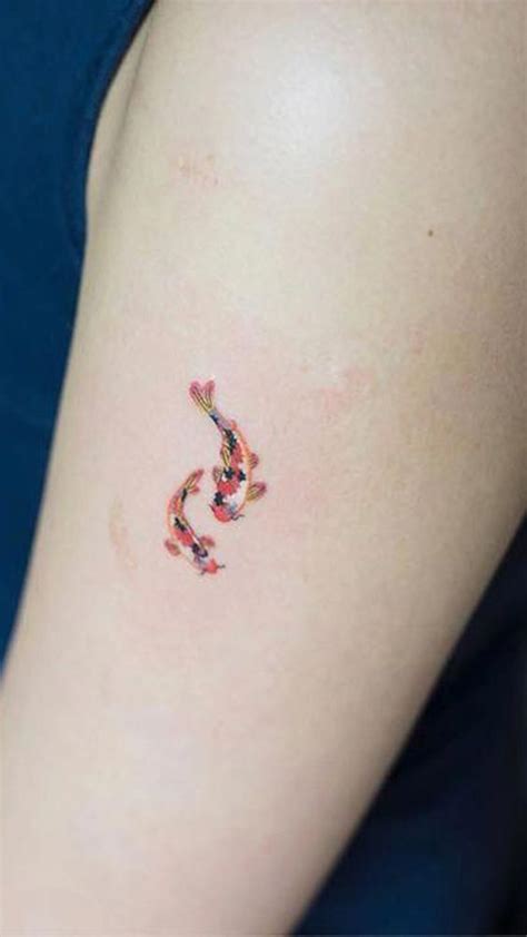 Adorable Colored Koi Fish Tattoo On The Arm Tattoo
