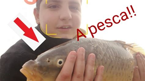 A Pesca 2 Youtube