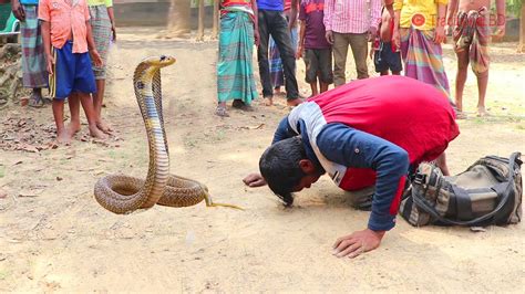 Amazing Street Performance Of Snake Charmer Cobra Snake Dancing To