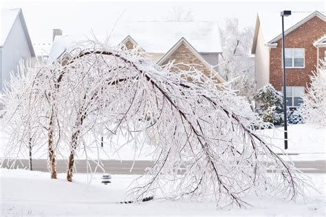 Will Climate Change Bring More Severe Ice Storms Environmental Watch