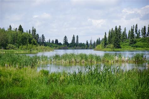 14 Fun Things To Do At Elk Island National Park Alberta Play Outside