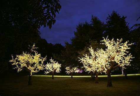 Illuminated Decorative Led Tree By Enchanted Trees