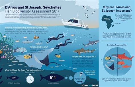 Sosf Researchers Record 500 Fish Species In Seychelles Highlighting