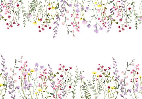 Download Flowers Banner Wild Flowers Royalty Free Stock Illustration