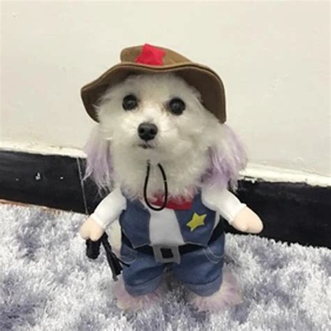 Funny Halloween Pet Cat Dog Cowboy Costume Cosplay With Dog Hat Small