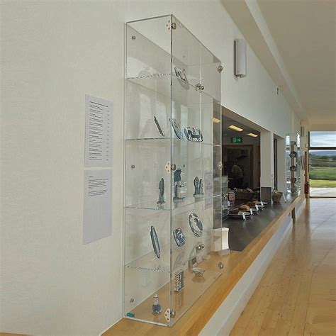 This Is A Fantastic Wall Mounted Acrylic Cabinet With Three Shelves
