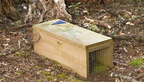 How To Build A Simple Rabbit Trap Sciencing