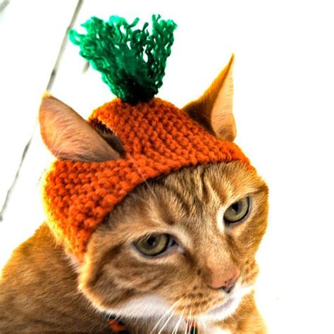 Pumpkin Costume For Cats Hand Knit Cat Hat Cat By Bitchknits Knitted