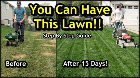 It costs about $950 to overseed a lawn, or between $400 and $1,500. Pin on diy lawn
