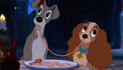 Shelter Dogs To Star In Disneys Live Action Lady And The Tramp