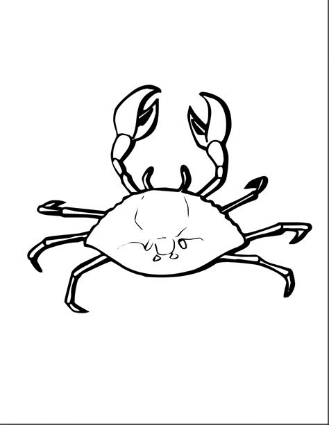 Horseshoe Crab Coloring Page at GetColorings.com | Free printable colorings pages to print and color