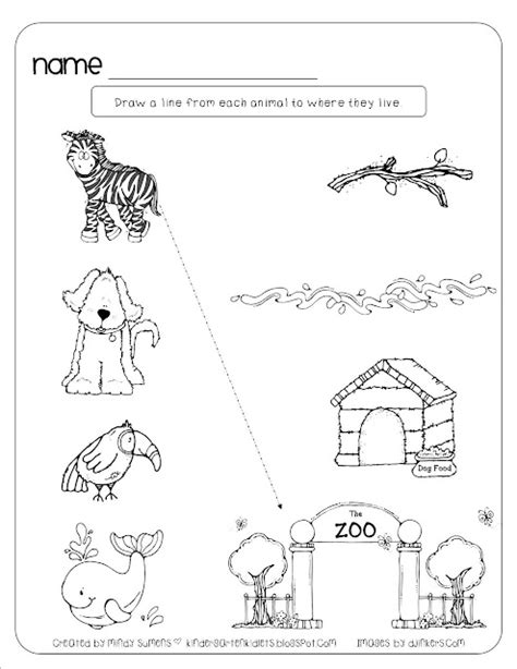 Animal Homes Worksheet
