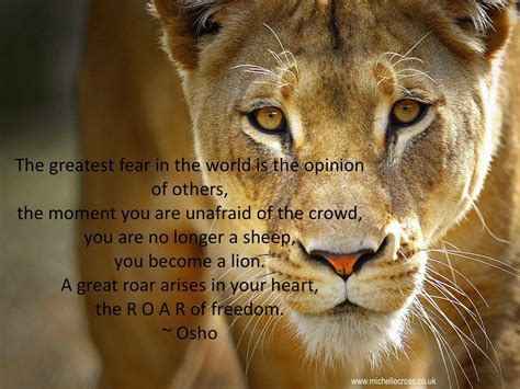Enjoy reading and share 52 famous quotes about lioness with everyone. Pin by Joanna Bell on Life | Lioness quotes, Female lion, Lion and lioness