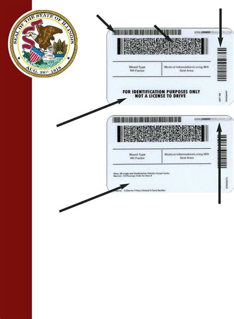 Illinois Drivers License ≡ Fill Out Printable Pdf Forms Online
