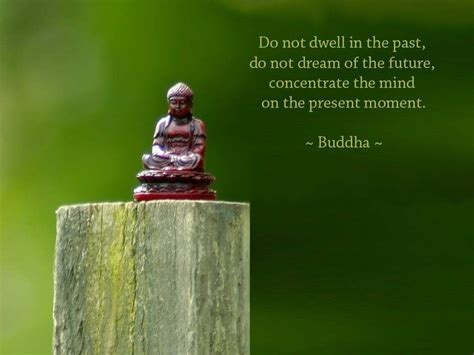 Buddhist Quotes On Nature Quotesgram