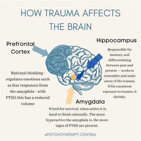 How To Heal The Brain After Emotional Trauma Brainlyvi