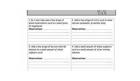 making observations kindergarten worksheet