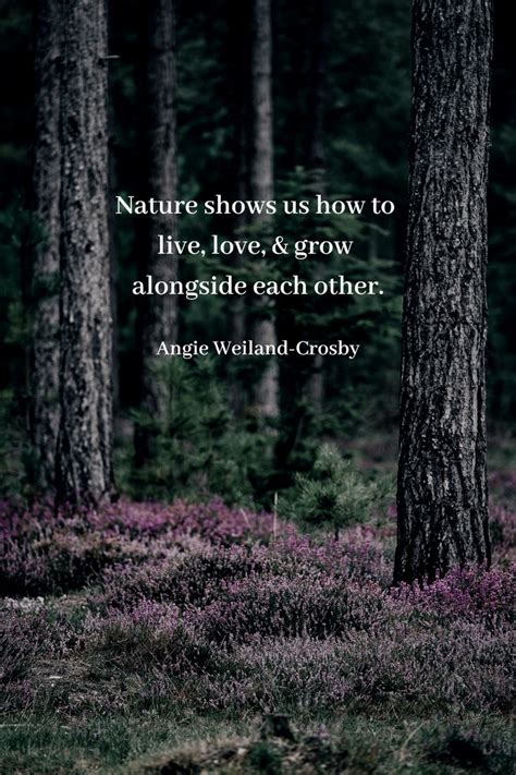 Nature Quotes For The Wandering Soul Nature Quotes Forest Bathing