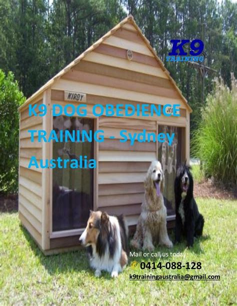Best House For Your Lovely Pet Dog