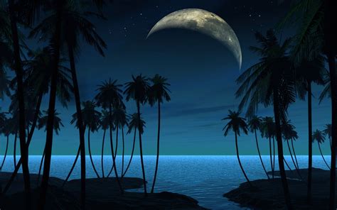 Beach Moon Night Wallpaper 2560x1600 29176