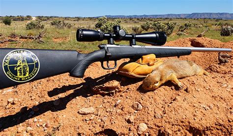 Armscor 22 Magnum Rimfire Ammunition Review And Hunt Report