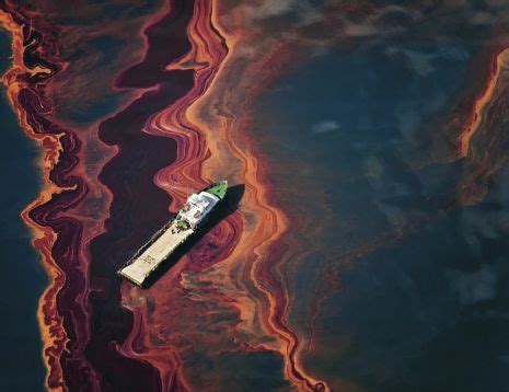 Deepwater Horizons Lasting Damage Oil Pollution Oil Spill