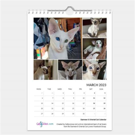 Siamese And Oriental Kitten Calendar 2023 By Cattylicious Cat Calendars