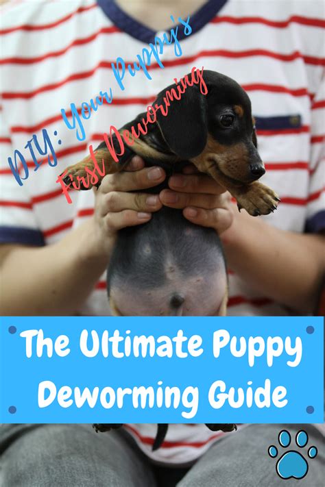 Maintenance of liver mass and function is provided mostly. Deworming Puppies can seem like a daunting task, but with ...
