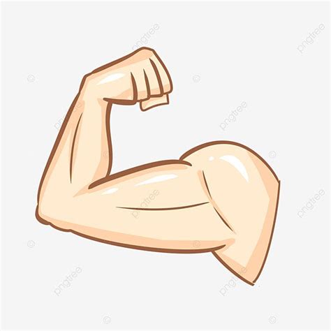 An Arm Showing The Muscles Hand Drawn Cartoon Character Png And Psd