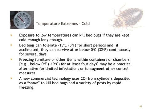 Temperature To Kill Bed Bugs Cool Product Assessments Prices And