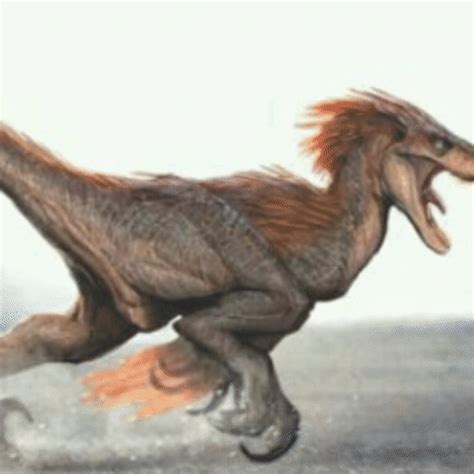 Curiosidade Velociraptor Dino World Br~pt Amino