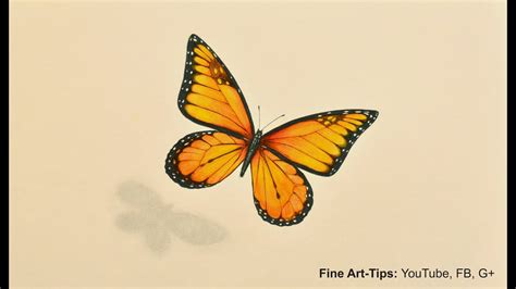 draw  monarch butterfly  markers  color