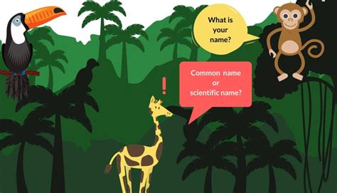 Examples of scientific names of common animals. How to Write Scientific Names of Plant and Animal Species ...