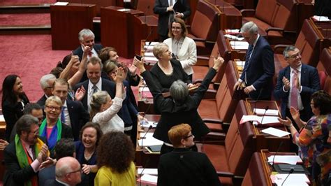 Same Sex Marriage Bill In Australia Passes The Senate The Advertiser
