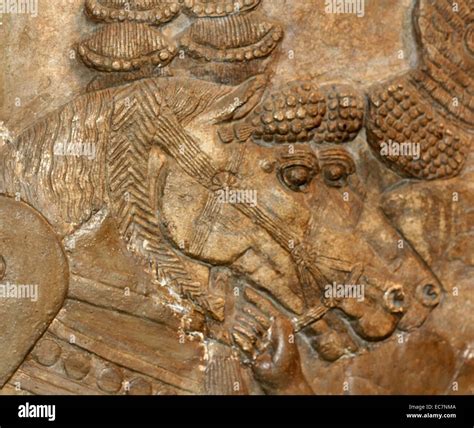 Colossal Guardian Lion Assyrian Fotos Und Bildmaterial In Hoher