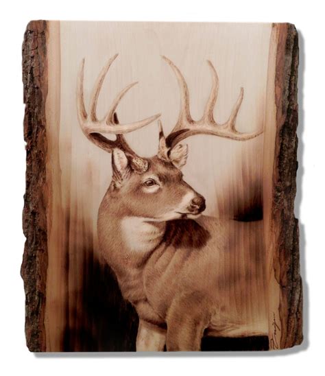 Wood Burning Buck By Dennis Franzen Wood Burning Patterns Stencil