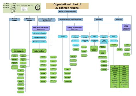 Organizational Chart Of The Hospital Hospital 22 Bahman