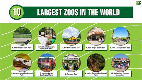 10 Largest Zoos In The World A Z Animals