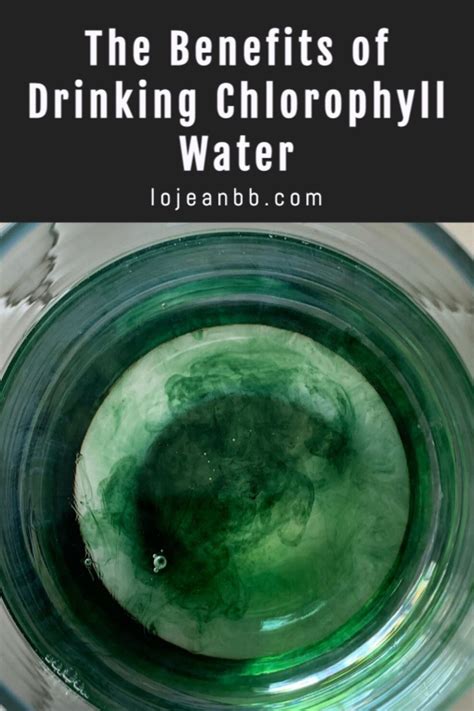 The Benefits Of Drinking Chlorophyll Water In 2021 Chlorophyll Water Chlorophyll Skin Healing