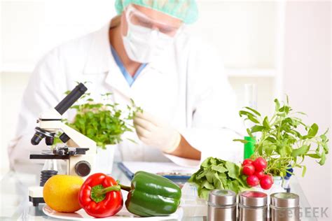 The journal also publishes book reviews relevant to all aspects of food science, technology and engineering. What is Food Science? (with pictures)