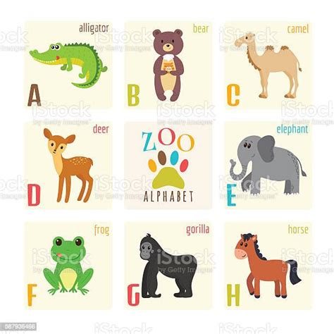 Alfabet Kebun Binatang Lucu Dengan Hewan Dalam Gaya Kartun Ilustrasi