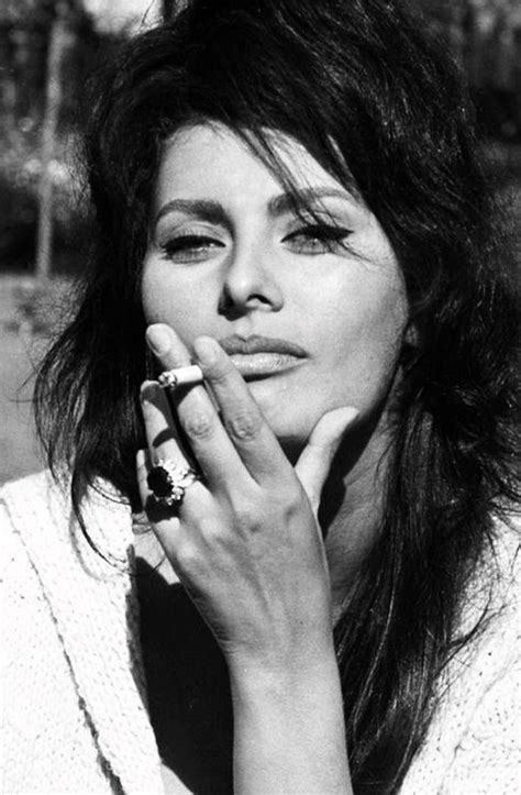 Sofia villani scicolone dame grand cross omri (italian: The Hottest Sophia Loren Photos Around The Net - 12thBlog