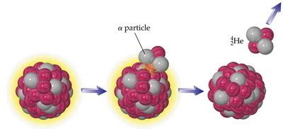 Alpha particles have approximately four times the mass of a proton or neutron and approximately 8,000 times the mass of a beta particle. What happens to the mass number of a nucleus that emits an ...