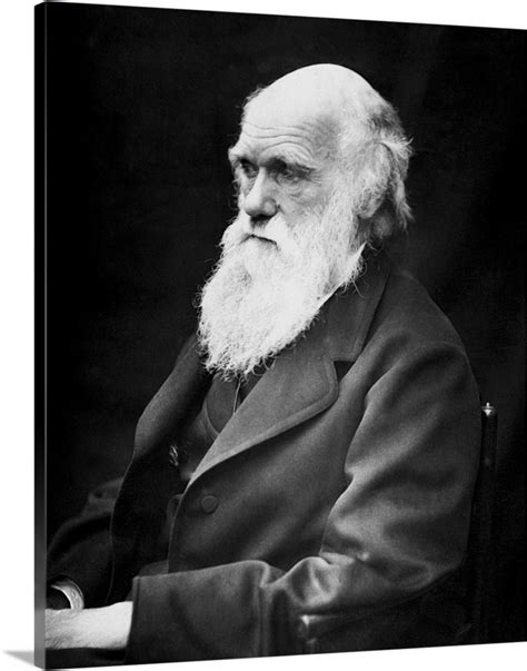 Portrait Of Naturalist And Geologist Charles Darwin Wall Art Canvas