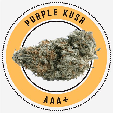 Buy Purple Kush Indica Aaa The Green Ace Online Dispensary