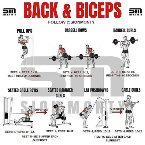 Back Bicep Workout For Mass