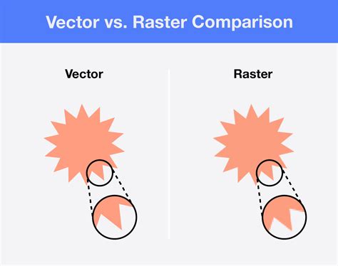 Raster Vs Vector Understanding File Formats For Design Laptrinhx News