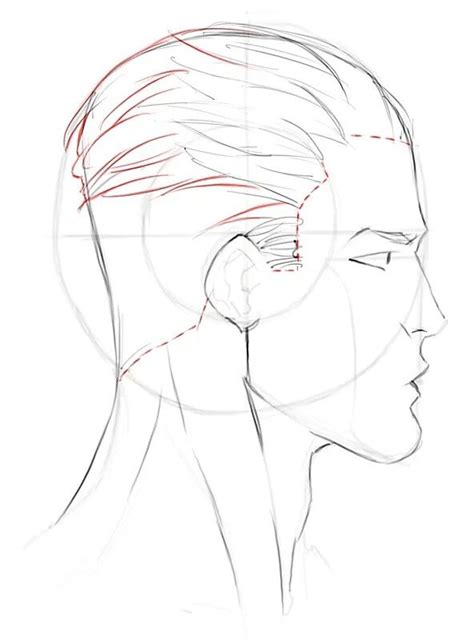 View 13 Male Side Profile Hair Reference Fronttrendbook