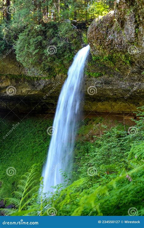 View Of Waterfall Surrounded By Lush Trees And Plants In The Silver